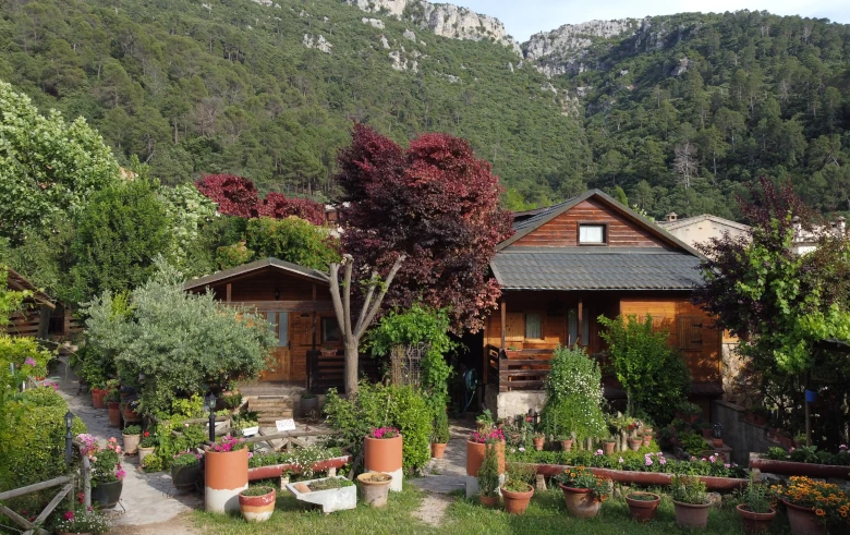 Cabañas de Madera Los Pinos